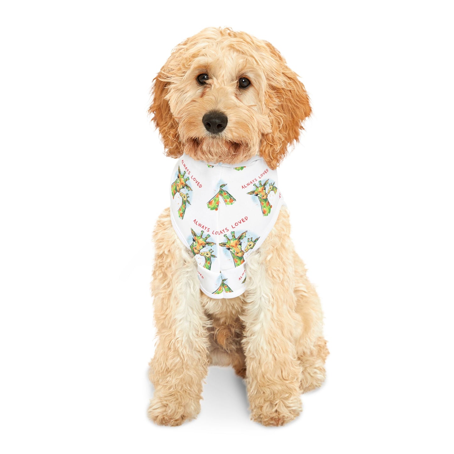 ALWAYS LOVED - PET HOODIE