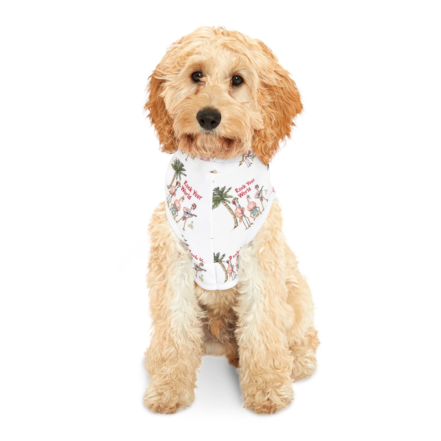 ROCK YOUR WORLD - PET HOODIE